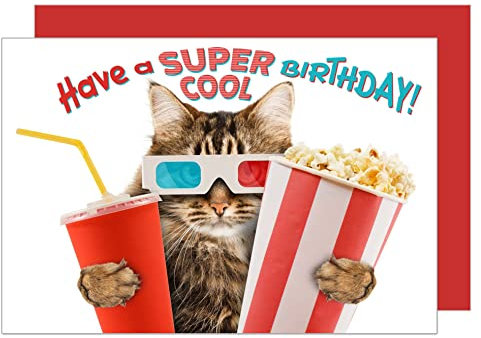 Edition Seidel Premium Geburtstagskarte mit Umschlag. Glückwunschkarte Billet Happy Birthday Humor Lustig cool Mann Frau Katze (G3483 SW023)
