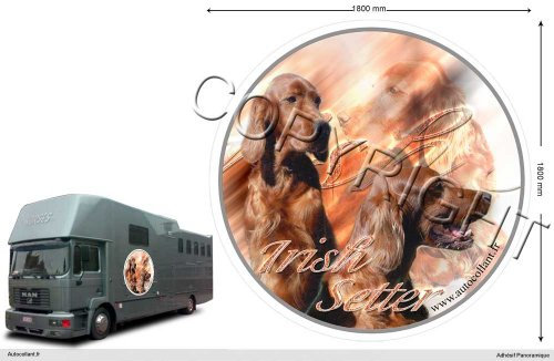 Circular Aufkleber Hund 180 Cm Irish Red Setter