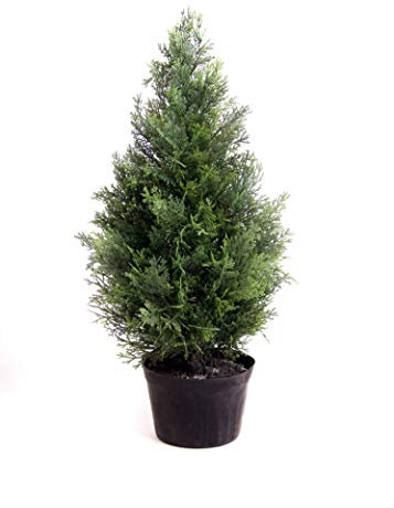 Best Artificial Potted Cedar Pine Cypress Conifer Tree (2ft)
