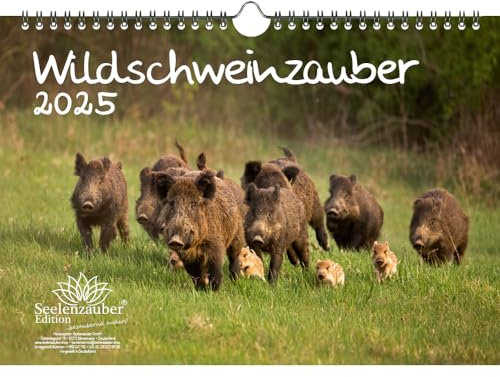 Wildschweinzauber DIN A4 Kalender für 2025 Schweine Schweinchen - Seelenzauber