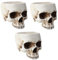 Milisten 3St Halloween antikes Gerät Halloween kostüm Halloween Costume klein Schädelschale Party blumenübertopf Blumentöpfe Halloween-Schädelverzierung Halloween-Pflanzenbehälter Haushalt