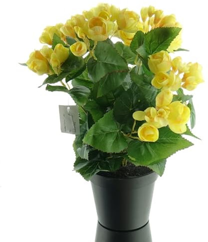 Gasper Elatior-Begonie Gelb im schwarzen Topf 38 cm - Kunstblumen