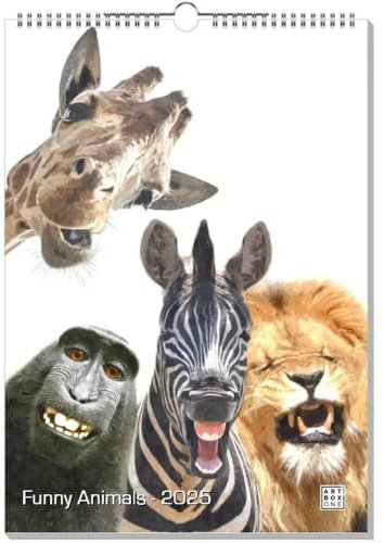 artboxONE Kalender 2026 Funny Animals Wandkalender A3 2026 Tiere