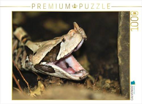 CALVENDO Puzzle Gefährliche Schlangen - Gabunviper | 1000 Teile Lege-Größe 64 x 48 cm Foto-Puzzle für glückliche Stunden
