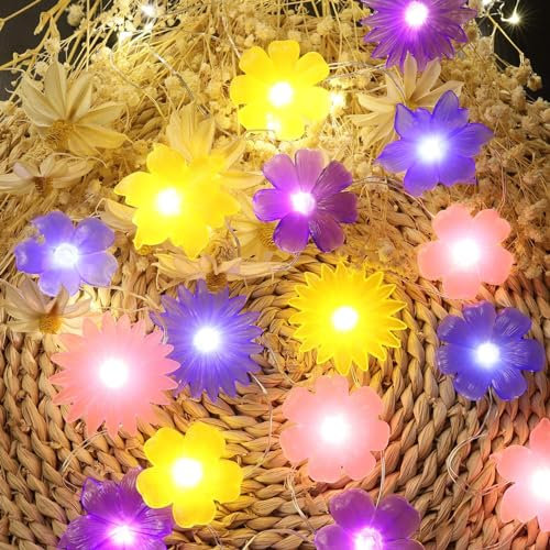 Floral Flower Fairy Lights, 20 LED 6.5ft, USB Plug in or Battery Powered for Indoor Room Party Decoration Gifts for Girl Women Mirror Bedroom Decor