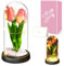 Touloube Muttertagsgeschenk für Frauen, Forever Tulip Künstliche Tulpen, Ewige Infinity Blumen im Glas, Künstliche Blumen Geschenke für Frau Freundin Mama Oma, Jahrestag, Rosa