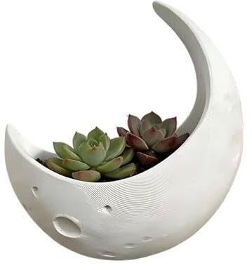 Holdes - Maceta de pared en forma de luna | Jardinera de media luna – Maceta interior | para exterior, casa, dormitorio, balcón, jardín, cumpleaños, día de la madre, pasión por la jardinería