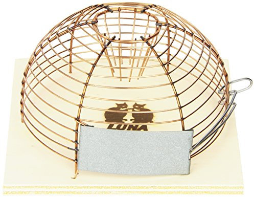 Luna Korbfalle 1 Einlauf, 15 cm (1er Pack), Braun/Bronze