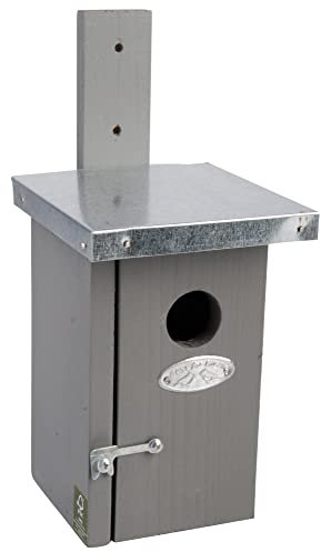 2 Stück Rivanto® Nistkasten Zaunkönig mit Zinkdach 14 x 11 x H25 cm, Vogelhaus grau mit Türchen