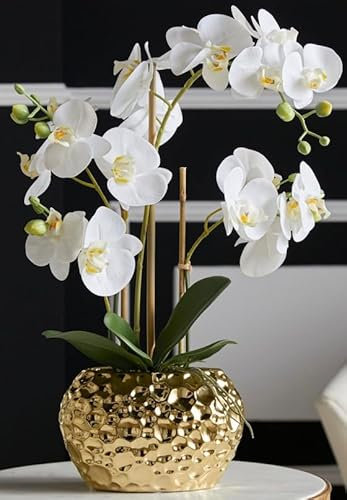 DAHLIASTUDIOS Plante artificielle Orchidée Phalaenopsis avec pot en céramique doré - Environ 53 cm de haut (blanc)