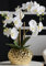 DAHLIASTUDIOS Kunstpflanze Orchidee Phalaenopsis mit Gold-farbigem Keramiktopf - ca. 53cm hoch (weiß)