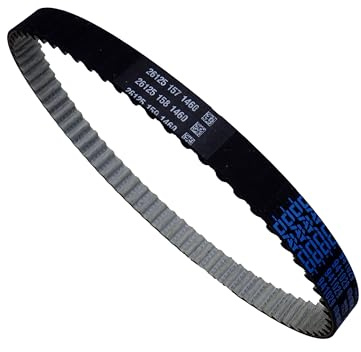 Dayco 941029 Zahnriemen