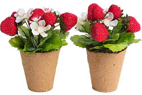 künstliche Erdbeerpflanze mit 6 Erdbeeren im braunen Zellstofftopf (Anzuchttopf) (2 Stück)