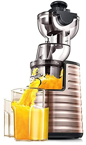 Centrifugeuse, Centrifugeuse Lente masticant la Machine de Presse-Agrumes à Froid Facile à Nettoyer avec des nutriments et des vitamines Plus élevés sans BPA