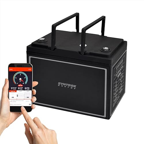 Syntrox Germany Lithium LiFePO4 Batterie, Batterie-Management-System, Hohe Kapazität Batterie, Leichtgewichtige Langzeitbatterie, für Freizeitfahrzeuge (60Ah)