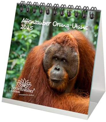 Affenzauber Orang-Utans Kalender für 2025 Format 10cm x 10cm Affen - Geschenkset Inhalt: 1x Kalender, 1x Weihnachtskarte (insgesamt 2 Teile)