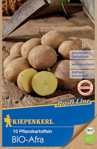 Kiepenkerl BIO Pflanzkartoffel Afra, 10 Stück 613003