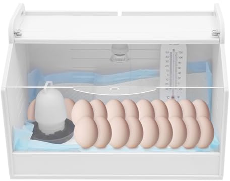 Inkubatoren für Geflügeleier,FUROMG Küken Aufzucht Box Wärme Lampe Brut Heim Aufzucht Reptilien Geflügel Inkubator,Wärmeplatte Reptilien Geflügel 15W