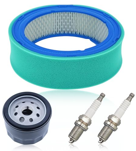 AUMEL Air Filter for Briggs & Stratton Replaces 394018 394018S 392642 86444GS LG394018JD W70301 set with Spark Plug Oil Filter
