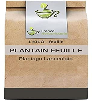 Tisane Plantain feuille 1 KILO France extra Plantago lanceolata.