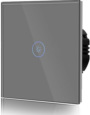 BSEED Interruptor de atenuación para lámparas LED, interruptor táctil de cristal, interruptor no wifi de 300 W 240 V para un ambiente perfecto, 1 compartimento de 2 vías, color gris