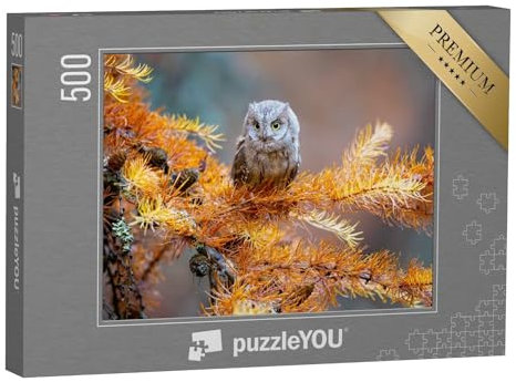 puzzleYOU: Puzzle 500 Teile „Zwergohreule, Otus scops, eine typische Eule“ – aus der Puzzle-Kollektion Eulen, Vögel, Exotische Tiere & Trend-Tiere