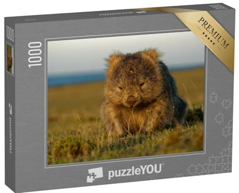 puzzleYOU: Puzzle 1000 Teile „EIN Wombat im tasmanischen Abendlicht, Australien“ – aus der Puzzle-Kollektion Wombats, Exotische Tiere & Trend-Tiere