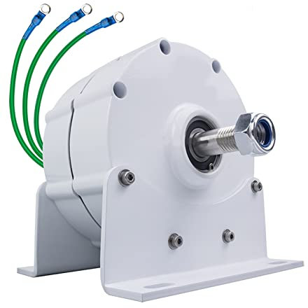 Generador De Magnet Permanente Permanente De 12000W Sin Engranaje, 12V 24V 48V 220V Generadores De Alternadores De CA De Baja Velocidad Con Uso Base Para Turbina De Viento Turbina (Blanco),220v