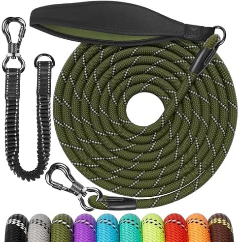 Aystkniet Schleppleine 10M für Hunde, Hundeleine mit Abnehmbare Elastische Kordel | Abschließbarer Haken | Gepolsterter Griff, Lange Laufleine Trainingsleine für Mittlere und Große Hunde