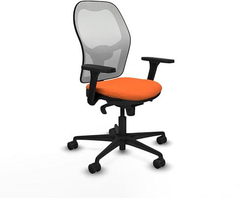 Piqueras y Crespo Chorquera Bürostuhl mit 3D-Armlehnen, 5 Positionen, Lendenwirbelstütze 1D, feste Rückenlehne, 120 kg, 8 Stunden Lebensdauer, Farbe: Ergonomie und Komfort