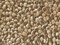 Auhagen 50503 1 Pappe Bruchsteinmauer lose