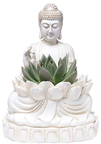 BELLA HAUS DESIGN Jardinière Bouddha - 24,1 cm de Haut en polyrésine - Support Zen pour Plantes succulentes, Fleurs, Cactus - Statue de Lotus de Jardin décoration intérieure ou extérieure