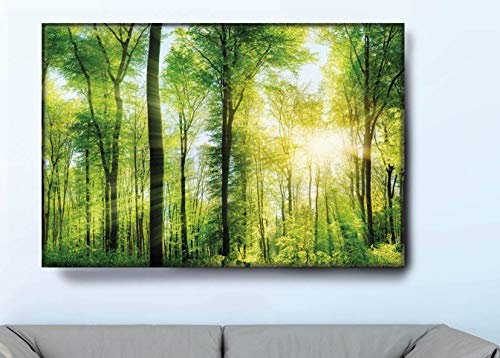 VFV Folien- und Werbetechnik Keilrahmenbild - Waldpanorama - Moderne Wandbilder Leinwandbilder als Wanddekoration Wohnzimmer Deko (B 90cm x H 60 cm)