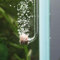 Aquario Neo CO2 Aquarium Diffusor - CO2 Diffusor Aquarium Kit, CO2 Diffusor für Aquarienpflanzen, CO2 System für Aquarium - Normal Diffuser, Winzig