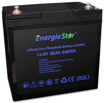 LOWENERGIE 50Ah 640Wh LiFePo4 Battery 12.8V Lithium-Ion Iron Phosphate 12V Leisure Solar Caravan (Battery only)