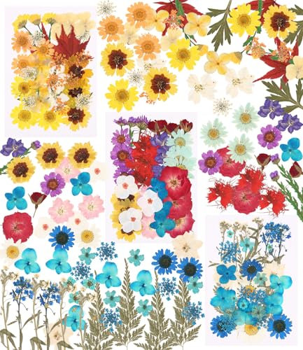 105 Stück Gepresste Blumen,Getrocknete Blumen,Gepresste Blüten,DIY Getrocknete Blumen Design
