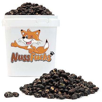 Sojabohnen 2kg - schwarze Sojabohnen geröstet & gesalzen vegan glutenfrei ohne Zusätze schwarze Edamame Bohnen ohne Fett geröstet knuspriger Snack für zwischendurch (2kg im Behälter)
