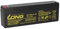 Kung Long WP2.3-12 Batterie au plomb AGM sans entretien 12 V 2,3 Ah