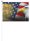Bandiera con aquila americana, piccola, per sfilate, martedì grasso, striscione personalizzato (6 pezzi)