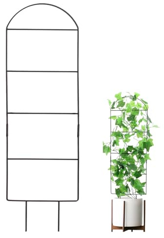 lyanny Spalier Für Topfpflanzen,Rostfreie Stabile Universelle Kleine Pflanzenstütze - Rankgitter Für Innen Und Außen Im Garten - Für Rankpflanzen Wie Efeu Efeutute Und Monstera