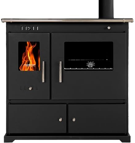 PRAKTIK LUX Holzofen Energieklasse A Plus 84 Prozent Effizienz, Eco Design, Heizung Kochherd mit Air Control System
