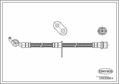 Corteco 19033064 Bremsschlauch vorne rechts