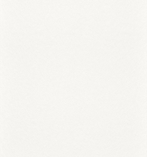 Rasch Tapeten Vliestapete (universell) Weiß 25,00 m x 1,00 m Makulaturvlies 129809