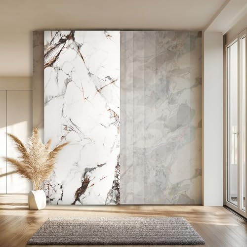 HEXIM Marmorplatten Optik 2 Stück 280x122 cm SPC Kunststoff Innen & Außenbereich Granit Steinoptik - Duschrückwand Küchenrückwand Spritzschutz Designpaneel (6,84 m² 2012A) A-Serie