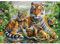 DAERLE Diamond Painting Tiger und Jungtiere, 5D Diamond Painting Erwachsene Wildes Tier Kits, Diamond Painting Set für Wohnzimmer Schlafzimmer Büro Wand Dekoration 40x30cm