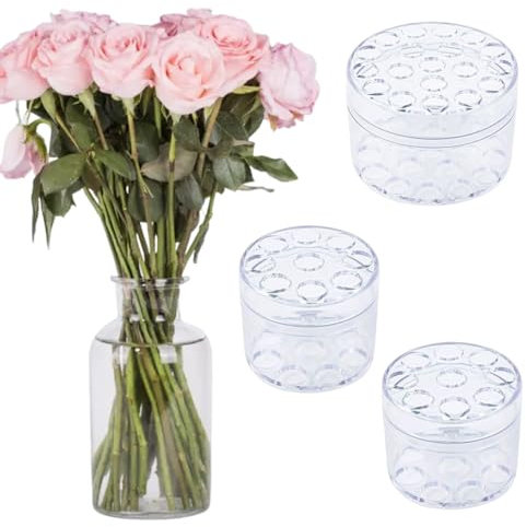 Sctmda Support de Tige en Spirale Ikebana 3 Pièces Support de Tige de Fleurs en Spirale Bouquet Twister Support de Tige Twister de Bouquet Arrangement Floral Support de Tige en Spirale pour Vases