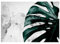 Fototapete Blätter Monstera Pflanzen Betonoptik Beton grau Wohnzimmer Schlafzimmer Wandtapete Vlies Tapete Latexdruck UV-Beständig Geruchsfrei Montagefertig (13516, V8 (368x254 cm) 4 Bahnen)
