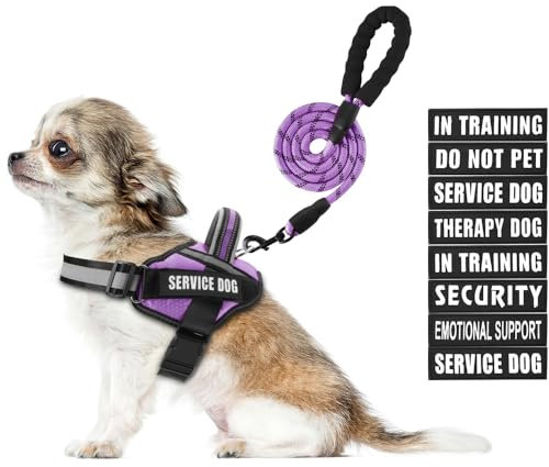 Animire Service Hundegeschirr und Leine, Set XS, Lila, mit 10 Patches, reflektierend, für kleine Hunde