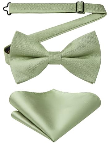 Enlision Herren Fliege Salbei Grün Vorgebunden Fliege mit Einstecktuch Set Einstellbar Elegante Hochzeit Business Fliegen mit Haken Einfarbig