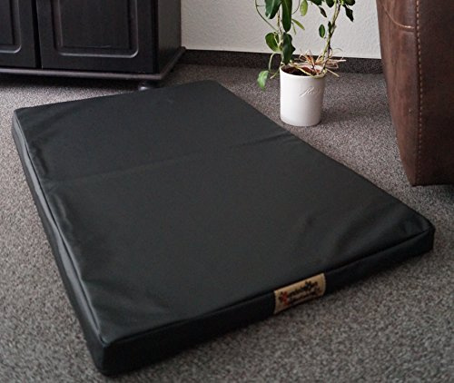 Hundebettenmanufaktur Hundematratze Hundebett Kunstleder Schaumstoff 5 cm Verschiedene Größen und Farben wählbar (60 cm X 40 cm, schwarz)